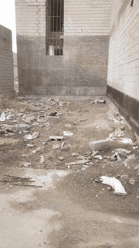 قطعه أرض للبيع طابو زراعي سند ٢٥ حولي التحرير مقابيل محطه الكهرباء المساحه ١٠٠م واجه ٧م خدمات كامله تفاصيل تواصل ع رقم ***********
