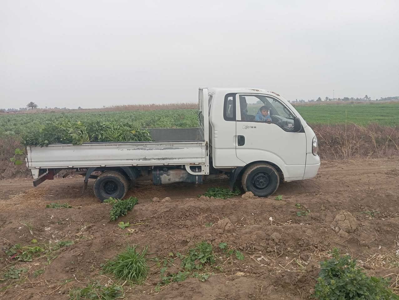 السلام عليكم كيا 12 للبيع سياره مقفوله كفاله عامه المكان بابل ***********
