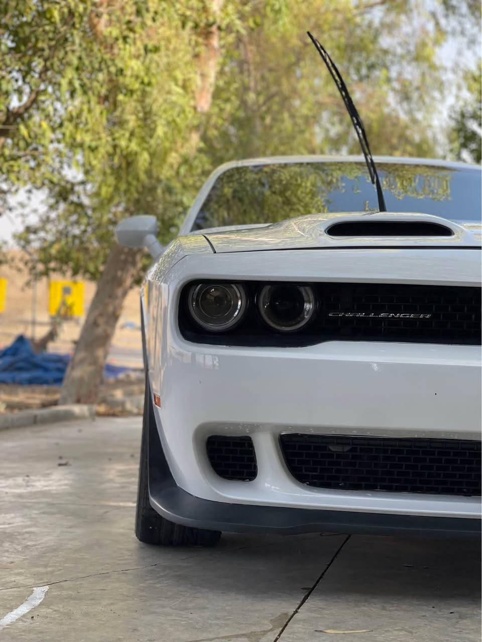 سياره كه  ره قه مه٤٥ هه زار رويشتوه زور پاكه بي شخوت جالوو قه بو قوبه دوو پارجه ي هه يه   دوو بستي كلير امريكايه
ول باقي به شه رت هه موو گياني گير مه كينه شانصي 
***********
*********** كركوك, العراق
