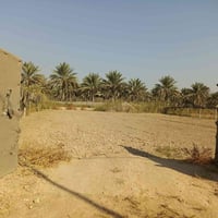 دونم ٥٠×٥٠ • طابو زراعي • كربلاء المقدسة