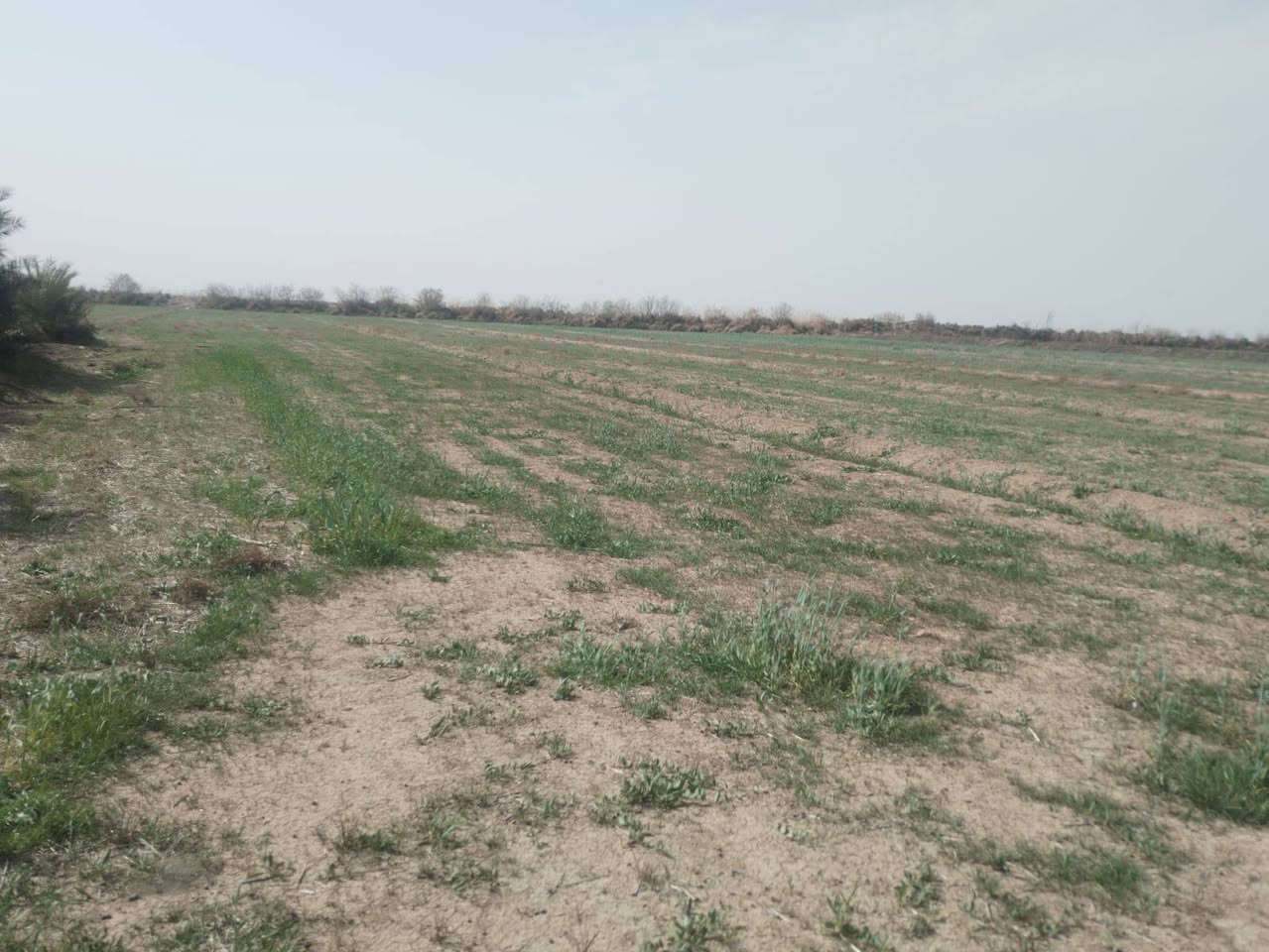 السلام عليكم
دار للبيع مع ارض ٧ دونم
ماء سكي 
 ماء اساله
كهرباء متوفره

مكان واسط قظاء الزبيديه قرية حلب

***********
