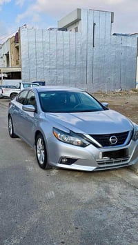 التيما • ٢٠١٨ • اوراق رقمية