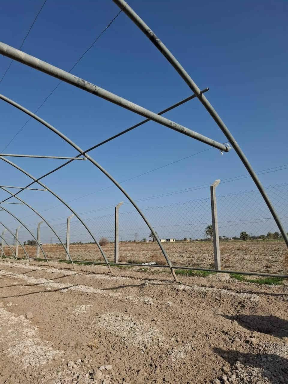 السلام عليكم للبيع بيت زجاجي اردني مستخدم  اخو الجديد الطول 52 والعرض 9 مع السيم كامل ماعدى الايلون الاستفسار ***********
السعر 1900 بي مجال قليل
مكان بابل الحله
