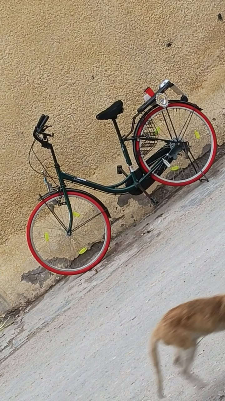 اخو جديد بناتي حجم 26نضيف نضافه فول موديل 2019    مكاني بغداد الحسينيه مال راشديه رقم ***********
