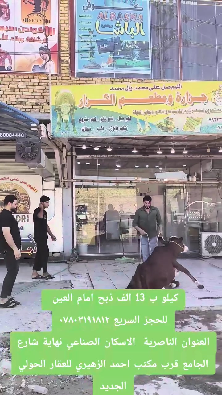 #عروضنا_مستمرة⛔️⛔️⛔️
كيلو ب 13 الف ذبح امام العين 
للحجز السريع ***********
مستعدون لتجهيز كافة المناسبات
العنوان الناصرية  الاسكان الصناعي نهاية شارع الجامع قرب مكتب احمد الزهيري للعقار الحولي الجديد
