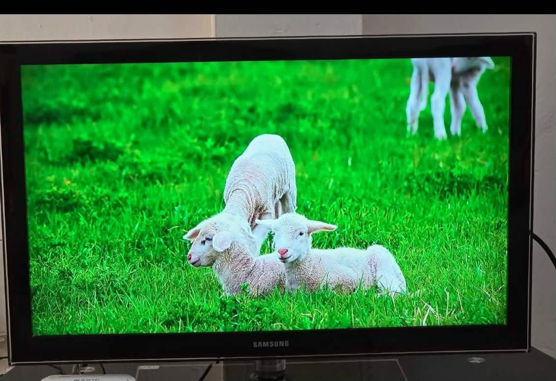 شاشة سامسونك ماليزي حجم 40 سعرة ٣٠٠


**إذا كنت صاحب هذا الإعلان وتريد حذفه لأي سبب، رجاءا أرسل رسالة إلى الدعم الفني**