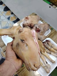 كبد وحواصل • رجلين منضفة • توصيل الحمزة