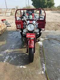 ستوته • مديل 12 • كرمة بني سعيد