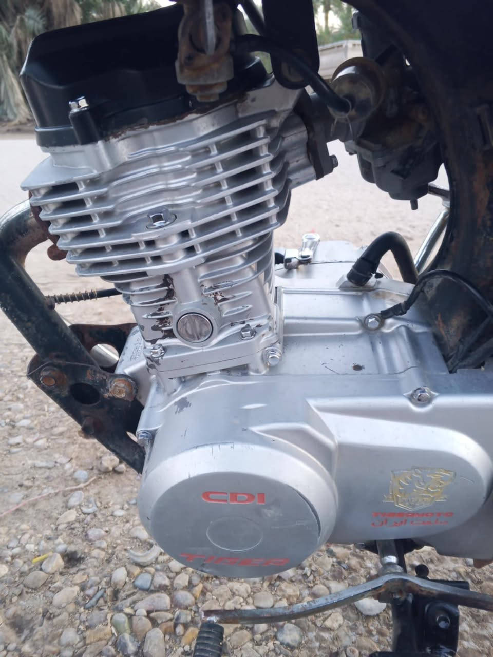 السلام عليكم 
دراجة للبيع 21 أوراق اصولي وليس سكنر نضيفه كلش احله من بالصوره مكاني الشوملي الاتصال على الرقم التالي ***********او هاذه الرقم ***********او مراسلة الصفحه السعر 525وبيه مجال
