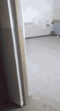 السلام عليكم يوجد بيت لبيع حي فلسطين مساحته 400 الى 20 متر بناء طابوق والسكف صب كونكريت مسلح الارضيه اكرانيت كل البيت مي كهرباء مجاري كاملات مربوطات كما موضح في الصور والفيديوا (مكلف بالنشر)  
السعر اتصال بالرقم الموجود *********** علما الخاص مقفول بس اتصال مباشر
