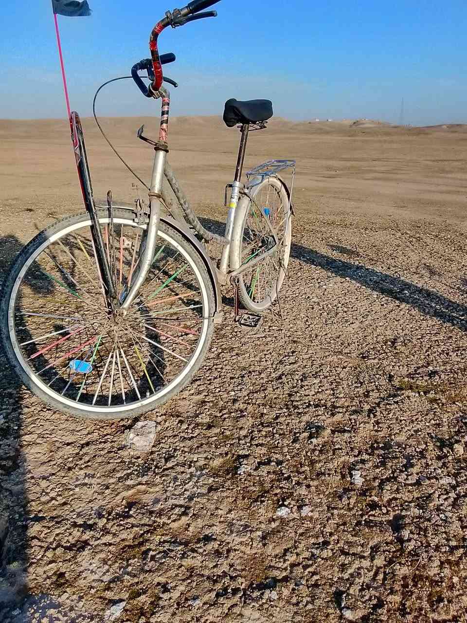 للبيع 60
  ***********
