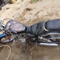 هارلي • بستمين • سلف