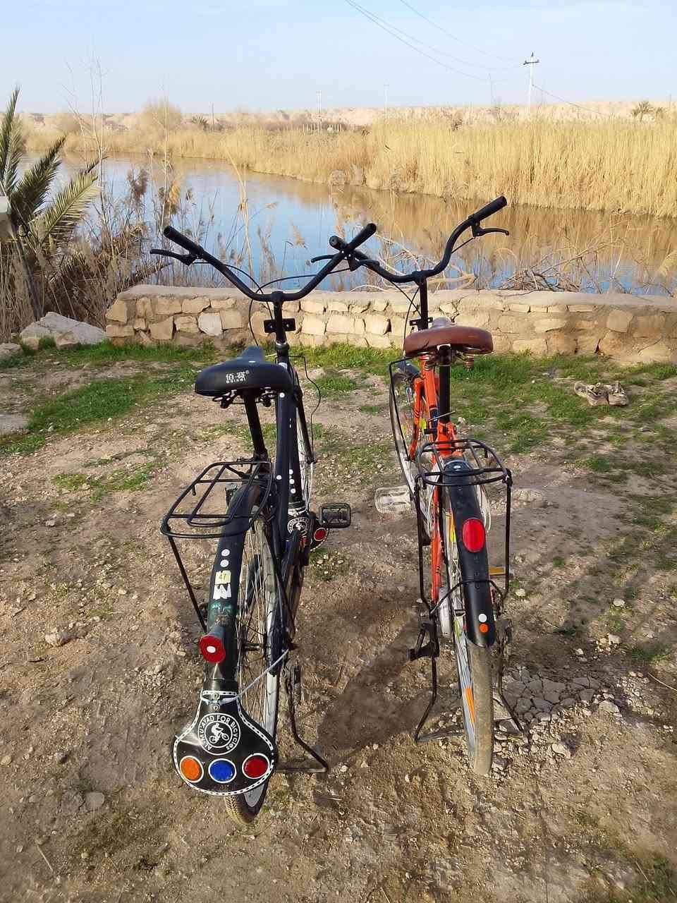 للبيع بايسكل حجم ٢٦كامل من كلشي للبيع او مراوس مكاني حصيبه أو مراوس  بايسكل ياباني


**إذا كنت صاحب هذا الإعلان وتريد حذفه لأي سبب، رجاءا أرسل رسالة إلى الدعم الفني**