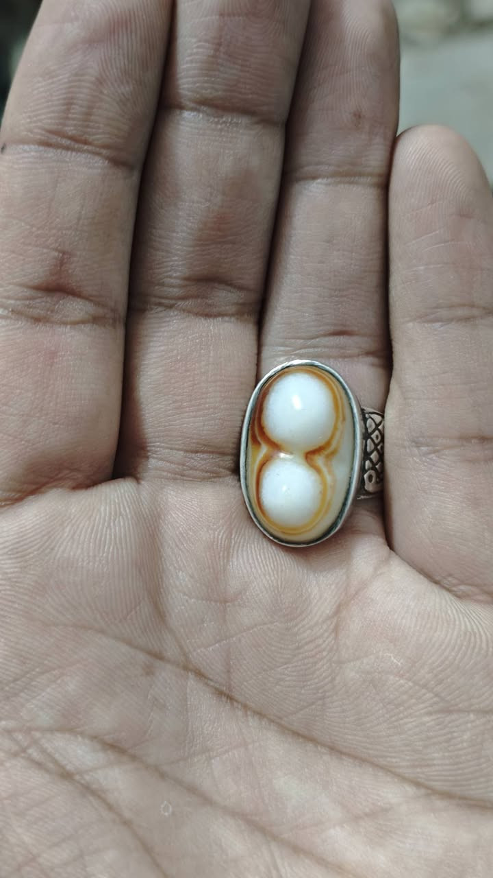 سليماني للبيع 
حط سعرك وبالعافية


**إذا كنت صاحب هذا الإعلان وتريد حذفه لأي سبب، رجاءا أرسل رسالة إلى الدعم الفني**