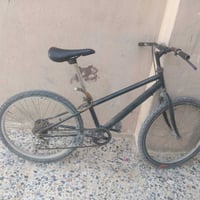 وبركاتة اليوم عندنا باسكل جبالي السعر 75 وبي مجال الرقم 07803621632