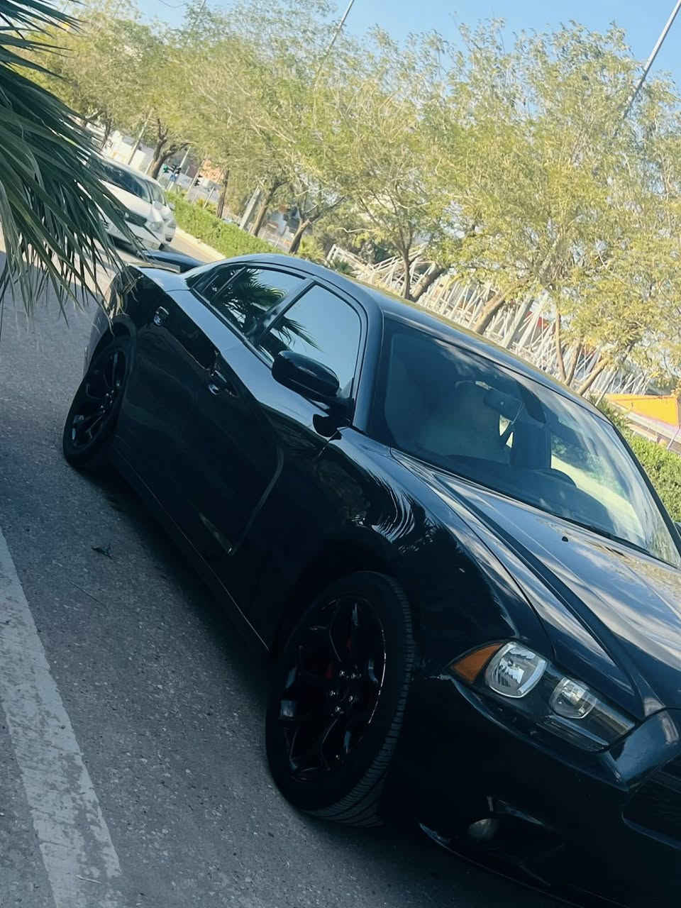 دوج رەش  ٢٠١٤ براوە شاشەگەورە ٨پستون
بی زەربەو حادیسە گیرو مەکینە مەزبوت تەبریت مەزبوت سالنسای بیلاد سپورت سعری ٦٨ گلاو مەجال گورینوش اکەم بە شتی بە دلم بیت 
شوین کەلار *********** مشتەری نیت سەرمان مەیەشینە
