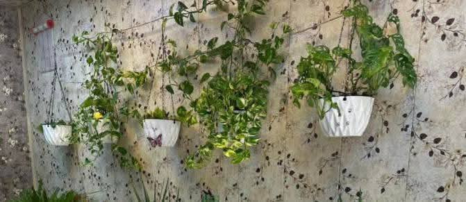 يتوفر لدينا جميع اكسسوارات نباتات 🕊️🐼🦊 توصيل كل محافظات العراق 🚕
الزرع لعرض فقط 🪴 
يتوفر جمله ومفرد 🦊🐼 
سارع لحجز كميه محدوده 🎊 
حجز على خاص ☎️
☎️***********📞
