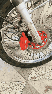 تايكر سونيك • موديل 2023 • أوراق أصلية