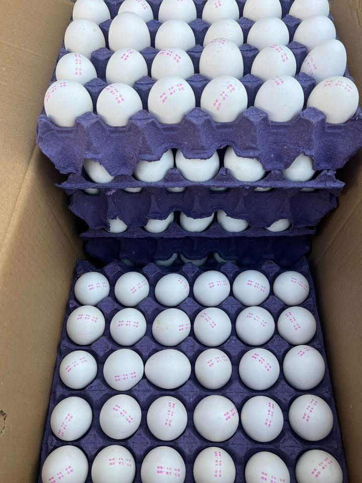 بيض احمر عراقي وزن ٢٦ السعر ٧٥ 
بيض احمر عراقي وزن ٢٣ السعر ٧١ 
بيض ابيض عراقي وزن ٢٦ السعر ٦٦ 
بيض ابيض عراقي وزن ٢٥ السعر ٦٥ بيض ابيض عراقي وزن ٢٤  ونص السعر ٦٤ 
 بيض ابيض وزن ٢٣ السعر ٦٢ 
بيض عرب سله صفارين ٥٠٠٠
***********
***********
