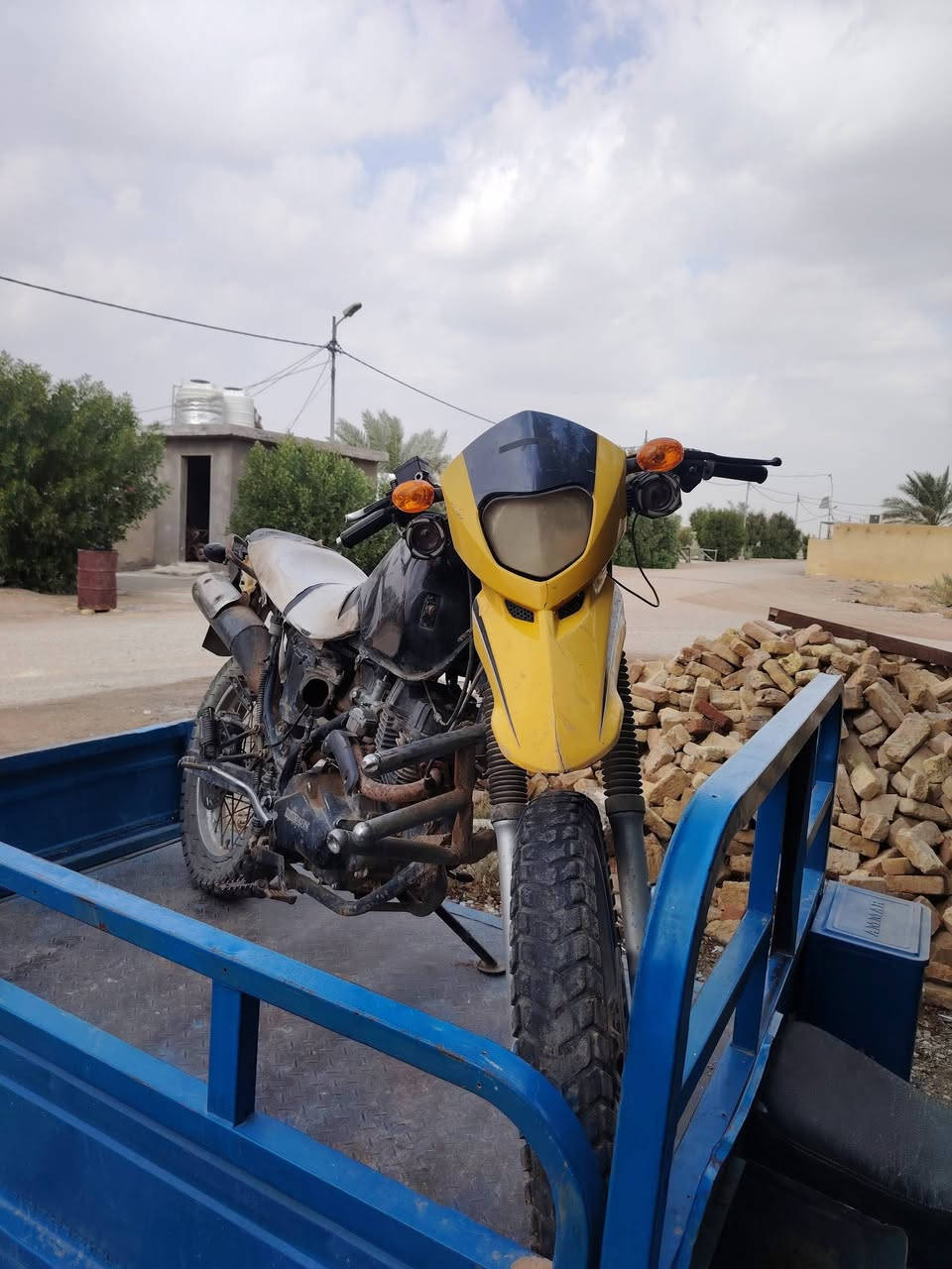 قفاز صيني تفصيخ للبيع
أوراق ***********
