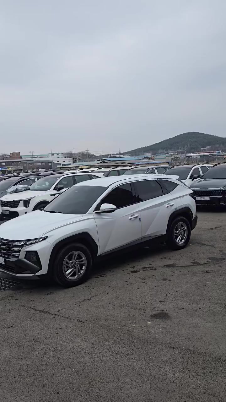 عرض العشر الاواخر من رمضان🌙🌙
توسان الشقاوه ٢٦ كسر زيرووووو عداد ٣٩٠٠ كليووو والسعر مناسب جدا


**إذا كنت صاحب هذا الإعلان وتريد حذفه لأي سبب، رجاءا أرسل رسالة إلى الدعم الفني**