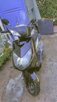 سكنس فحل • نوزل • بغداد شعلة