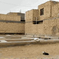 الشامية الديوانية • ١٥٠م • عرصة طابو ركن