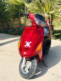 فراشه • فحل • باتري