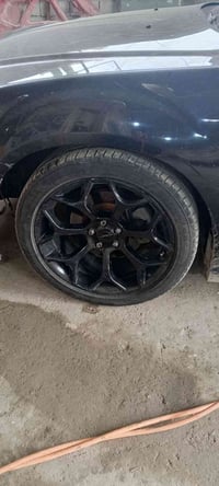 جنوط عنكبوت 20 • مراوس 18 • بابل