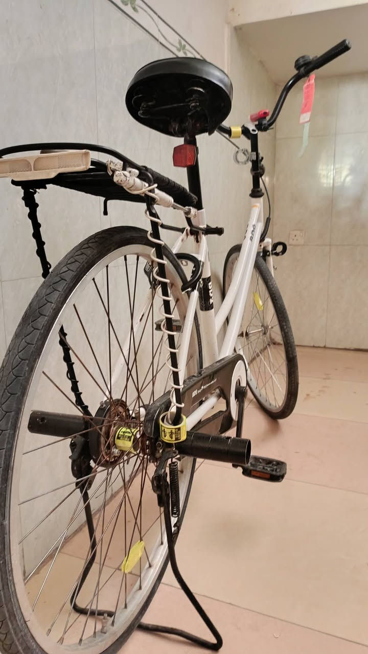 اسلام عليكم 🤍شباب باسكلل 🤍للبيع 26 🤍نضافه 100/90🤍 كامل برغي ما عايزز 🤍مكان نجف 🤍حي السلام الشراي خاصص 🤍


**إذا كنت صاحب هذا الإعلان وتريد حذفه لأي سبب، رجاءا أرسل رسالة إلى الدعم الفني**