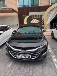 نظيفة • صبغ ٤ قطع • اربيل - امباير