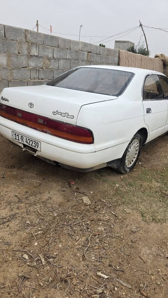 س
سلام عليكم بطه للبيع رقم بغداد موديل ٩٢
مكفوله اصوليات وعيب شرعي رقم نكليزي تحويل مباشر 
المكان واسط السعر ٤٥ 
***********
