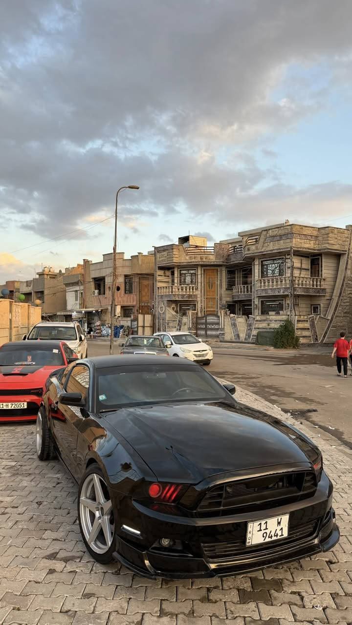 سلام عليكم موستنك 6 سلندر  موديل 2013 للبيع فقط رقم بغداد
حادثه جاملغ وبنيد قطعتين صبغ بدون شاصي 
بدون ايرباك 
مواصفات 
شوته + هدرز
برمجه سيف تيتو 
بواري ٣ انج 
عليه نانو سيراميك 
تخم تاير ويل فيوسن 
لايت متغير زنون عالي ناصي 
تبريد شغال + تدفئه 
لد تكساس 
سياره جاهزه 
مكاني بغداد 
السعر 98 وبيه مجال 
***********
