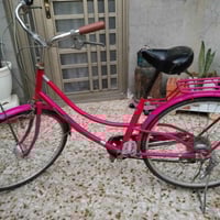 سبع البور • باسكل • مقاس٢٧