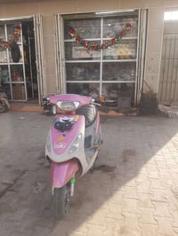 ماكس منغولي • كفالة عامة • ديوانيه مركز