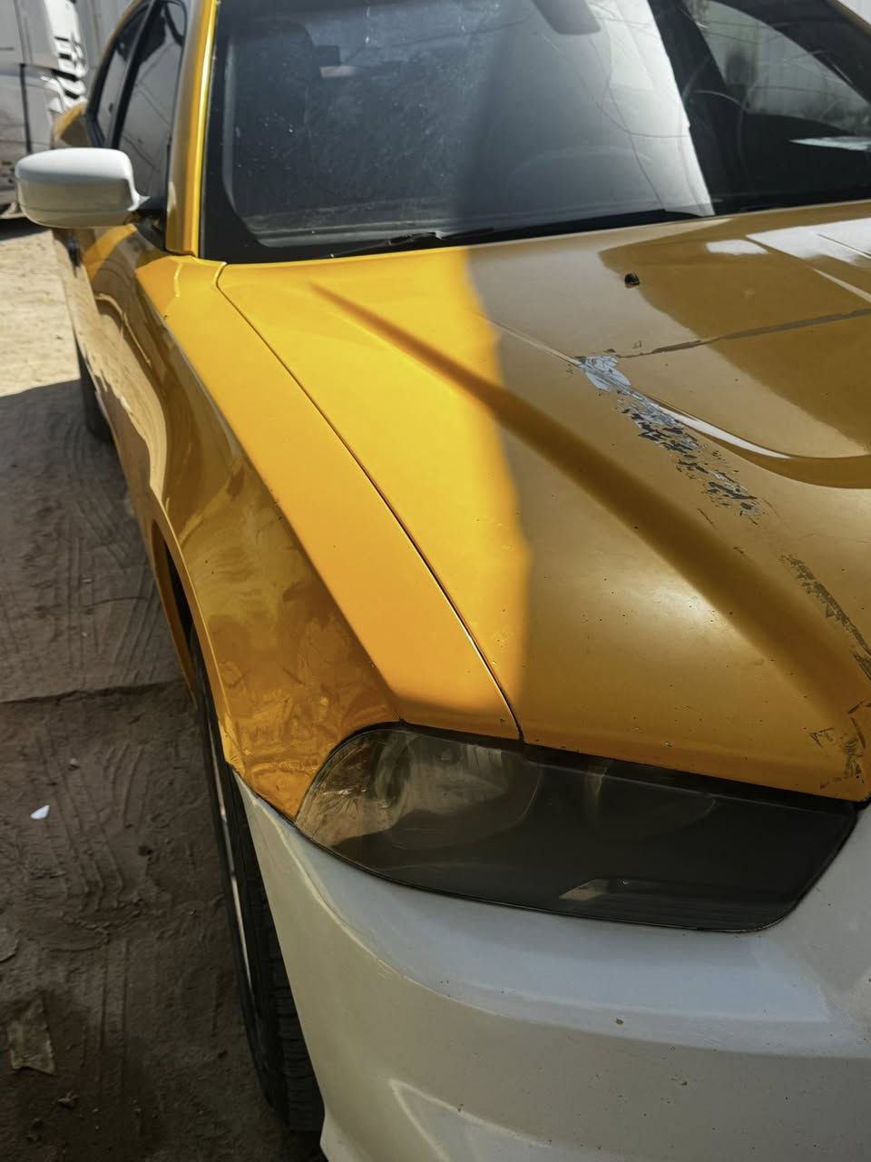 السلام عليكم جاجر 14كص قماره فقط بيع مراوس حسب القناعه
كير مكينه تبريد تدفئه كفاله 
مكينه 3600
كيرماوس 
السعر 48وبيه مجال 
العنوان بصره 
الهاتف ***********
