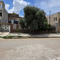 دار قديم • ٦٣٠م • حي البريد
