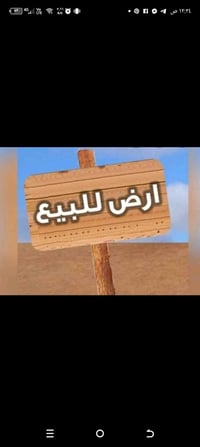 محيزم ٢ • ١٠٠م • طابو صرف