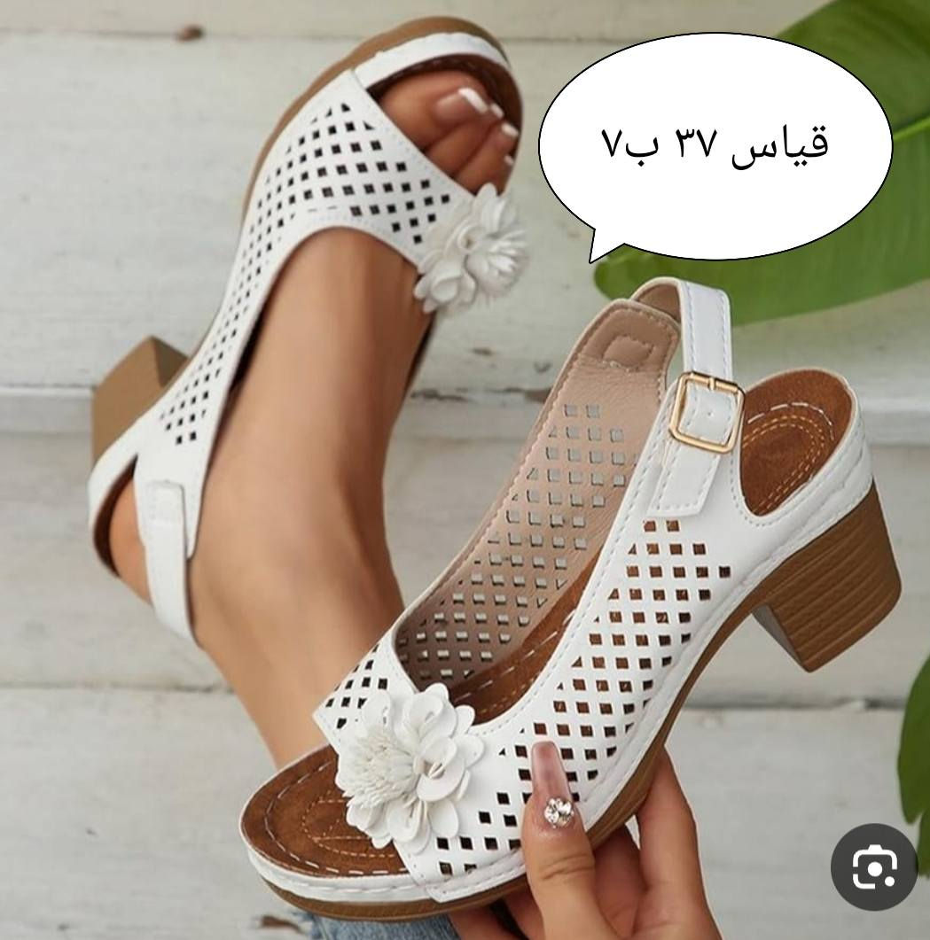 متوفر توصيل الكل المحافظات


**إذا كنت صاحب هذا الإعلان وتريد حذفه لأي سبب، رجاءا أرسل رسالة إلى الدعم الفني**