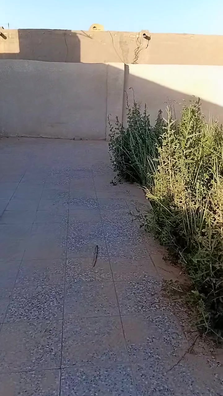 بيت مساحة 300 م نهاية السندباد 
***********
