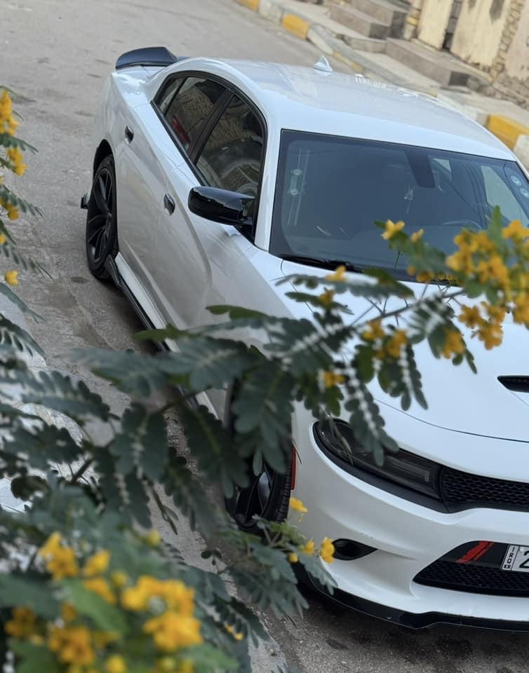 للبيع 

دوج جارجر GT 3.6 
موديل : 2019
ماشية : 180 الف كيلو
الرقم : اربيل الجديد بأسمي تحويل ثاني يوم
الوارد : كندي 🇨🇦 + اللون : ابيض

الحادث :
دخلت كلين تايتل بدون اي ضرر 
بالعراق صار بيها ضربة بالجاملغ خلفي ( بدون ايرباك )
عدلتها بارد وتكحيل كارت ( بدون قطرة معجون )
الباقي كفالة + كير مكينة اكسل كفالة ✅
السيارة صارلها عندي 5 سنوات مال جناي 🤍
تخم تاير جديد انتاج نهاية 2025 

مكان السيارة : البصرة
السعر : 245 ورقة وبيها مجال
الرقم للتواصل : ***********
