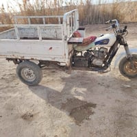 ستوته للبيع كلك 20 مكفوله عشاير 07827166293