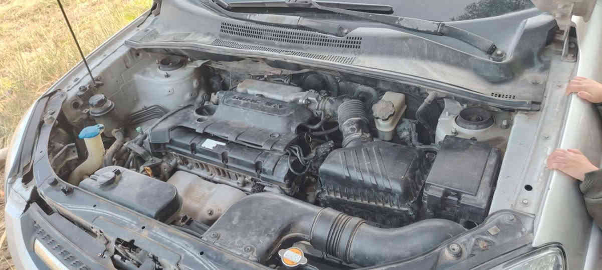 (من رخصت مدير الادمن المحترم الخلوق)السلام عليكم كيا سبورتج موديل 2009 محرك كير تخم تاير تبريد خير من الله كامله مكمله بسمي بغداد دولي دوشمه دواخل كامله  نكول بيهه حزام صبغ السعر 97وبيه مجال حك الجيه بيع مستعجل العنوان پابل اجبله الرقم ***********
