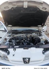 بيجو بارص • ٢٠١٨ • الديوانيه