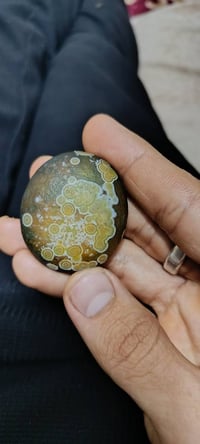 سليماني • مغربي • منغولي