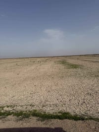 وبركاته ارض زراعيه للبيع المساحة 40 دونم عقد 35 تنازل   مباشر عقد مجدد...