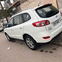 فول الفول • ٧ راكب • ٦ سلندر