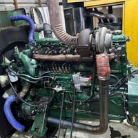 مولده فالفو دي ١٠ البيع  راس توليد ٢٥٠ كيفي المولده لا تبخير ولا تنقيص...