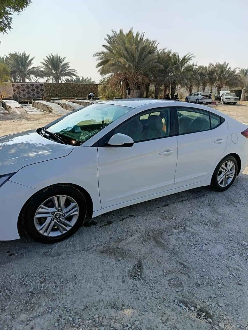 عليكم شباب النترا 2019 شباب النترا 2019 مقفوله السياره وحلوه مقفوله السياره وحلوه 130ي مكان السياره السماوه ***********قضاء الرميثه
