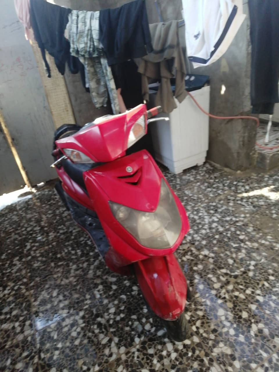 سكنس فحل كابريته دراجه طلعت بيه ومابيه دهن ولطشت ابيع كوم حديد تجيني اتكاتب وياك وتكفلك سرقه وعشاير وبالخدمه مستعجل بيعه *********** يوجد واتساب قيمه باليرظه الله عنوان بغداد سبع قصور
